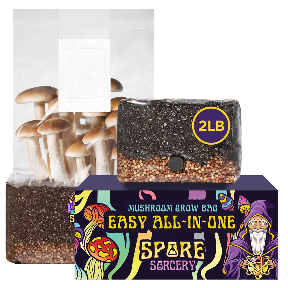 SPORE SORCERY grow bag in use for direct in-bag cultivation.
