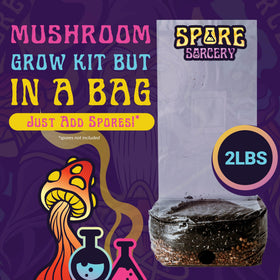 SPORE SORCERY multi-flush harvest concept with multiple cycles.