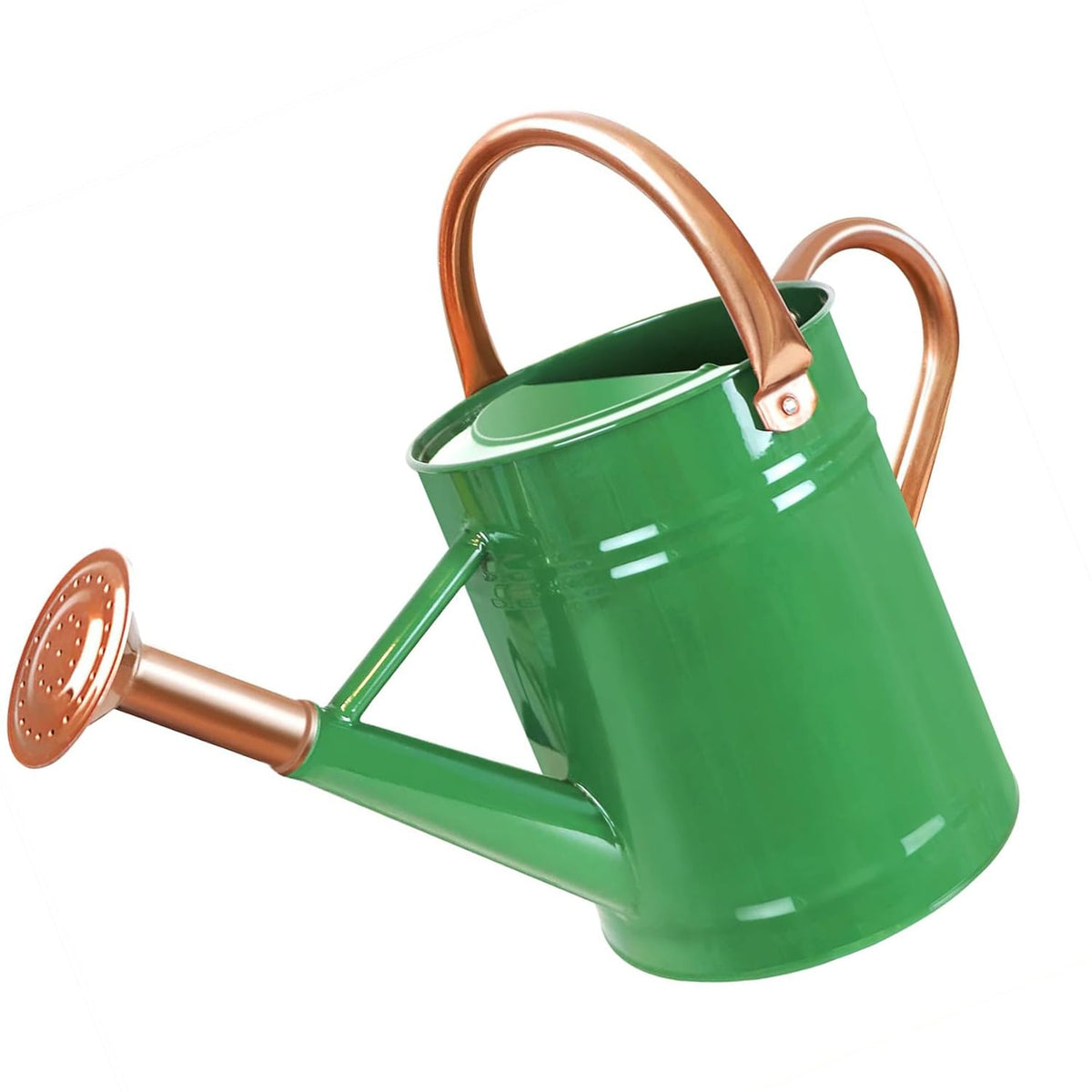 Sporgard 1 gallon metal watering can with removable spout for easy indoor and outdoor watering.