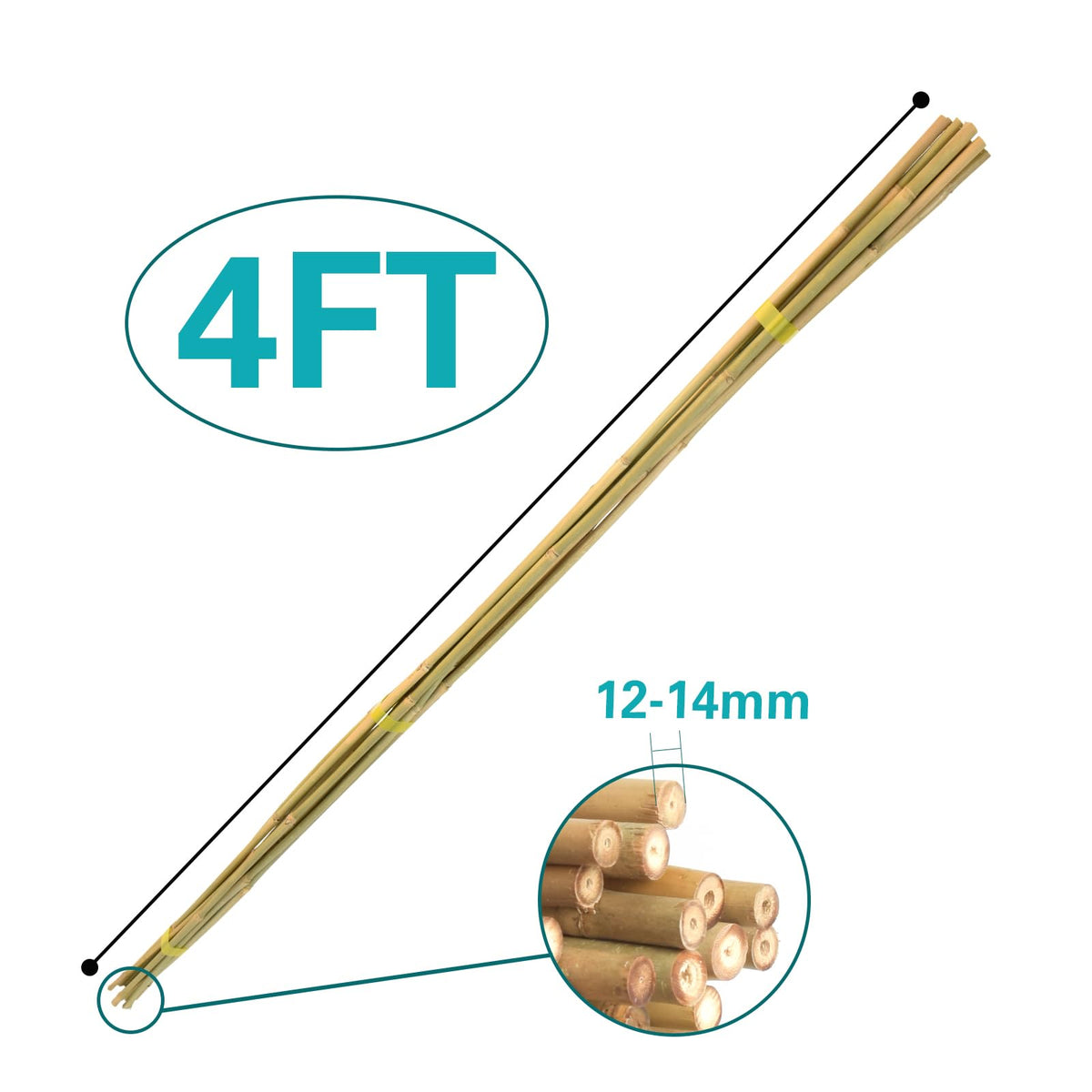 Sprigra half-inch diameter stakes offer heavy-duty support for tall plants.