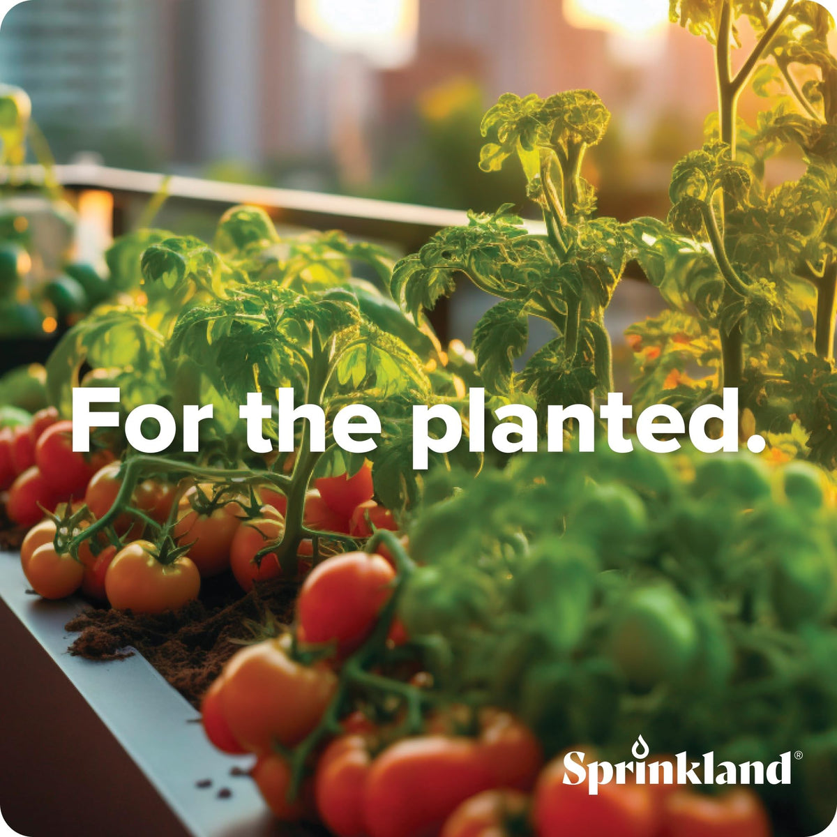 Sprinkland drip adapter enables quick changes to tubing layout.