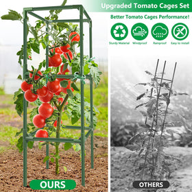 SprintGy tomato trellis kit offers modular height for growing plants.