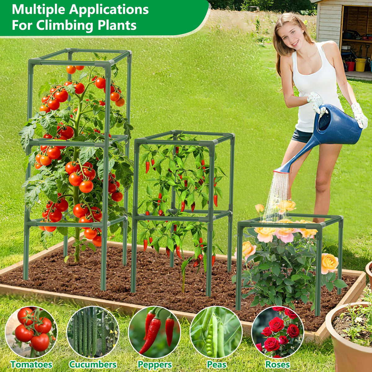 SprintGy versatile use for tomatoes, cucumbers, peppers, and flowers.