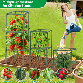 SprintGy versatile use for tomatoes, cucumbers, peppers, and flowers.