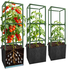 SprintGy 3-set square tomato cages provide sturdy vertical support for plants.