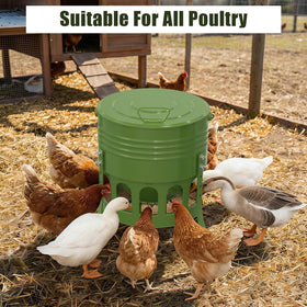 SprintGy elevated design minimizes contamination, promoting dry, fresh feed for all ages.