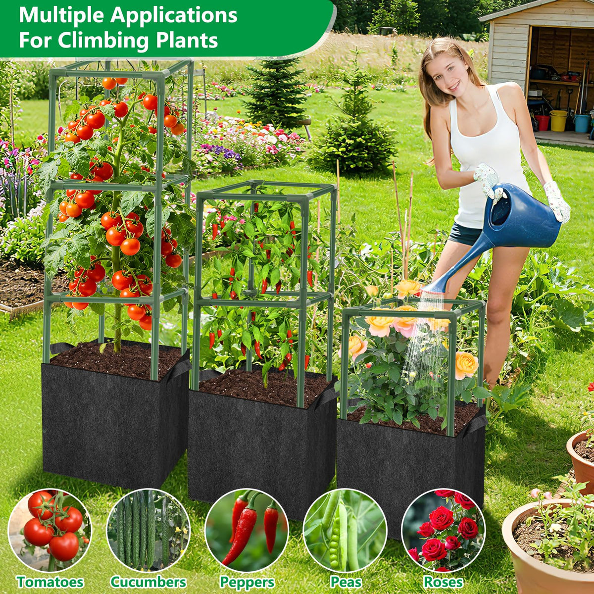 SprintGy versatile setup suitable for outdoor gardens, balconies, and greenhouses.
