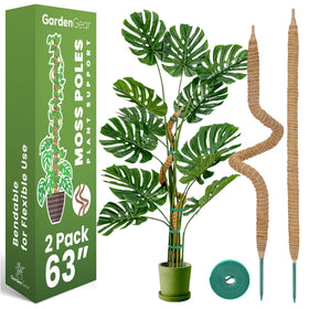 Sproot 63-inch moss pole pair ready to support vertical climbing plants.