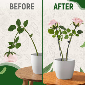 Sproot bendable stake supports tall stems like orchids with ease