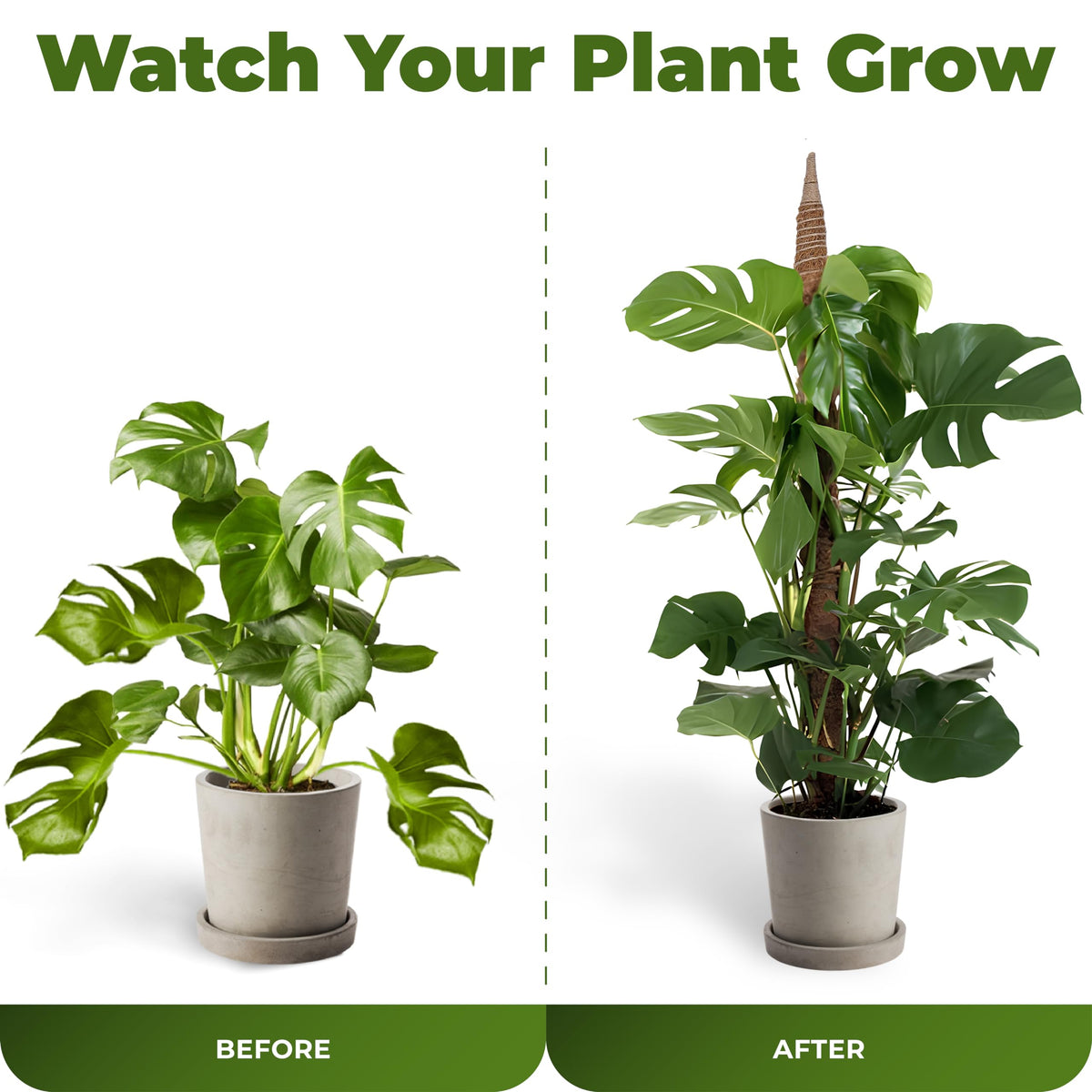 Sproot coco coir surface aids latching and moisture retention