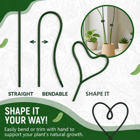 Sproot easy-install staking system for quick setup of indoor plants