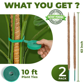 Sproot moss pole with aluminum core provides durable indoor plant scaffolding.