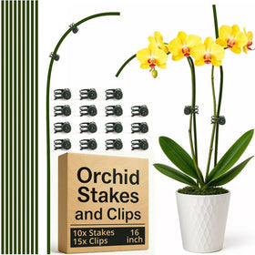 Sproot 16-inch green plant stake supports upright growth in pots