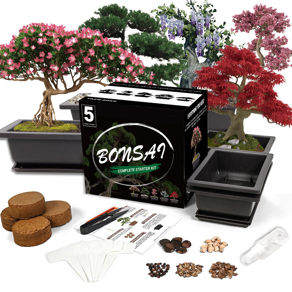 Sproutix Bonsai Starter Kit gift box, ideal for beginners and gifting.