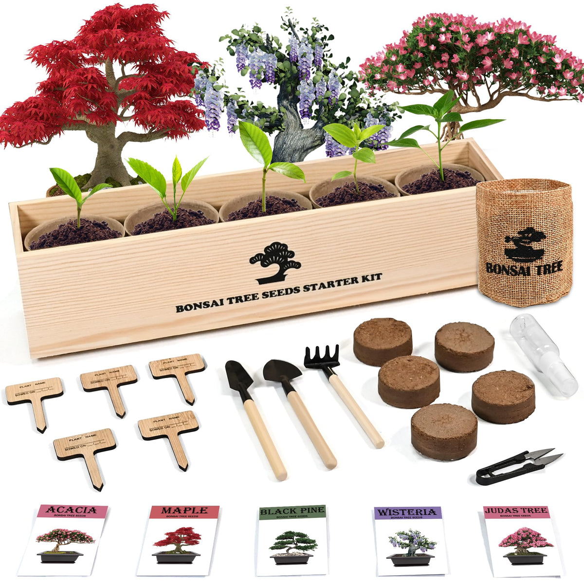 Sproutix indoor bonsai starter kit box and seeds for home growing