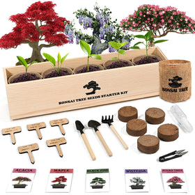 Sproutix indoor bonsai starter kit box and seeds for home growing