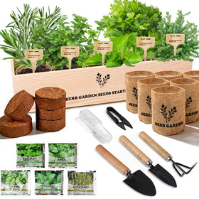 Sproutix indoor herb garden kit in a rustic planter box for fresh kitchen herbs.
