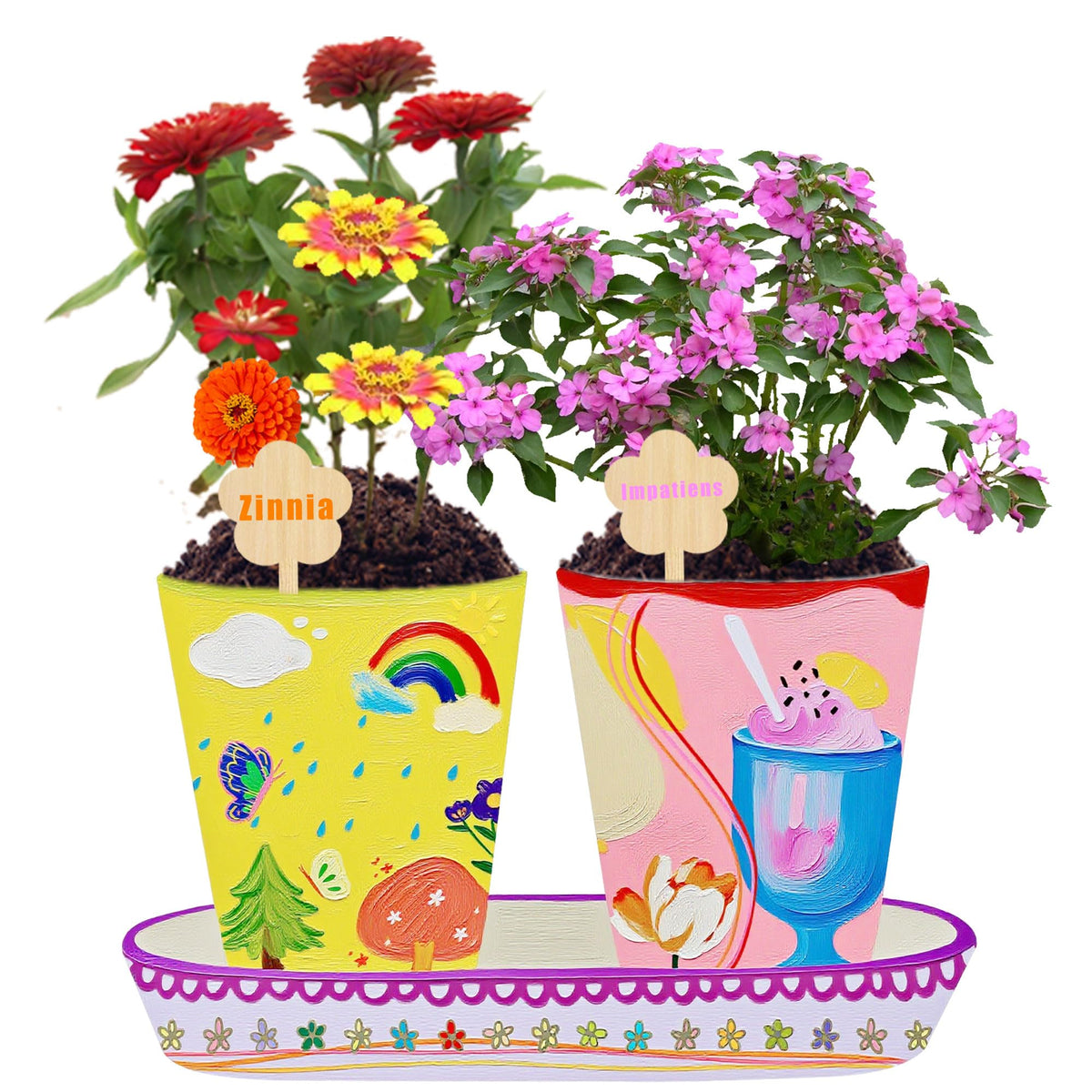 Sproutix compact design bundle for a mess-free craft and gardening project.