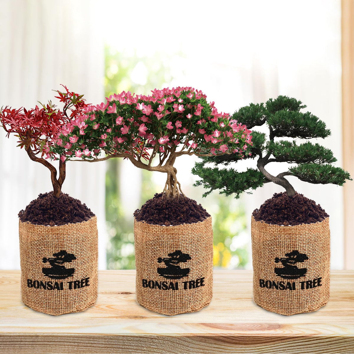Sproutix mini gardening tools for hands-on care