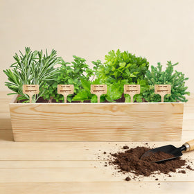 Sproutix gift-ready box ideal for housewarmings or birthdays.