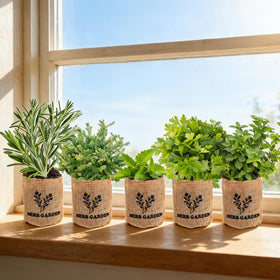 Sproutix expanding soil discs for easy seed germination and healthy root growth.
