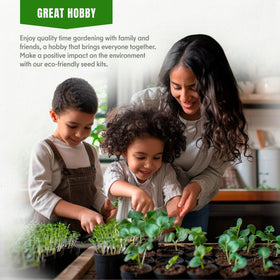 SproutMe Seeds cabbage variety seeds for versatile cooking