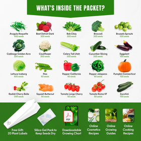 SproutMe Seeds cucumber variety seeds for fresh salads