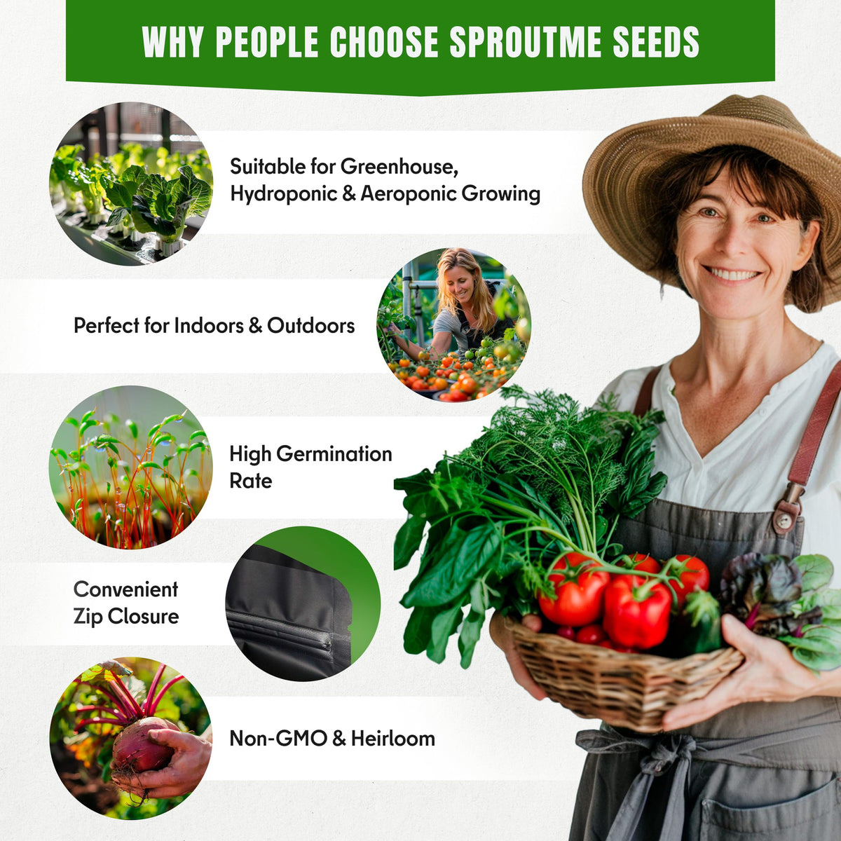 SproutMe Seeds lettuce variety seeds for quick greens