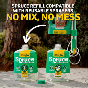 Spruce weed killer in action eradicating dandelions and crabgrass.