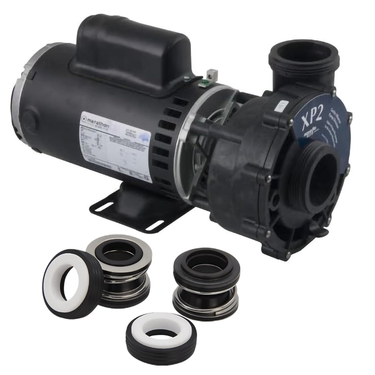 SPX2700SA pump installation view with PS-200 seal ready.