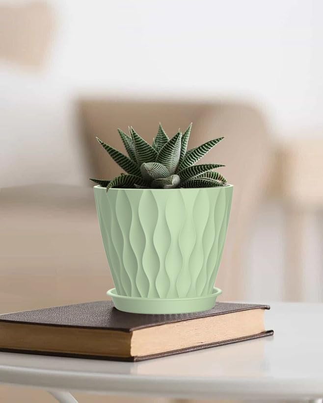 SQKH 4-inch planter supports herbs and violets with proper drainage