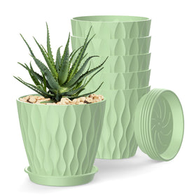 SQKH 4-Inch pot with drainage holes, promoting healthy root airflow and easy watering