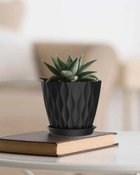SQKH 4-inch pot suitable for orchids, succulents, and herbs in compact spaces.