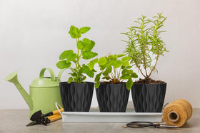 SQKH 4-inch pot on a windowsill enhances home decor for plants.