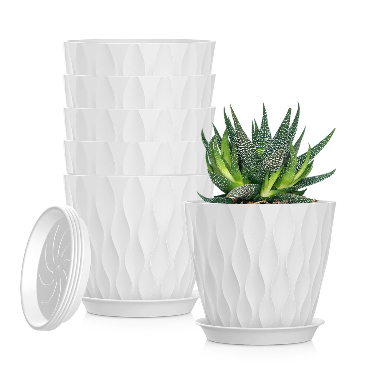 SQKH 5-inch planter with drainage holes and tray for tidy water capture