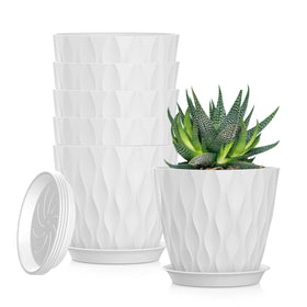 SQKH 5-inch planter with drainage holes and tray for tidy water capture