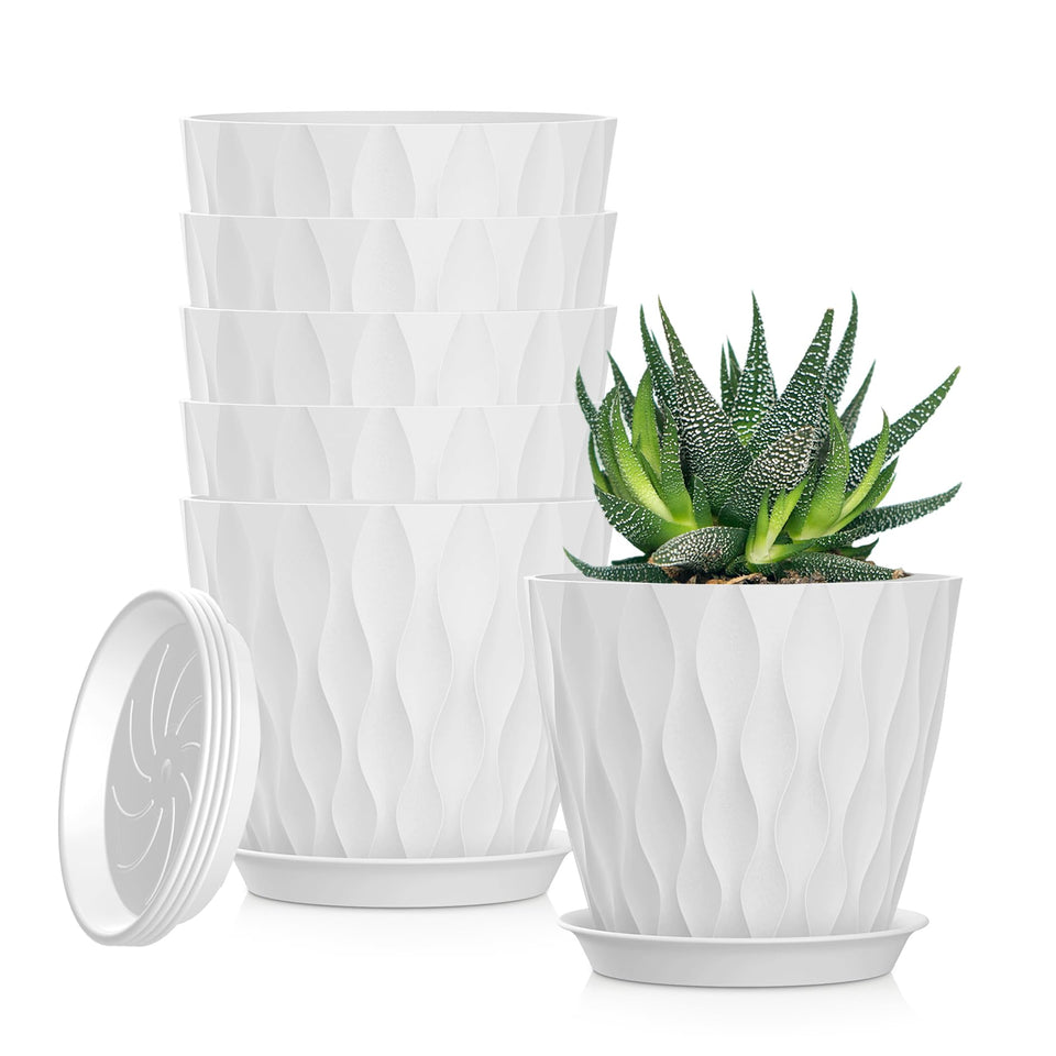 SQKH 5-inch planter with drainage holes and tray for tidy water capture