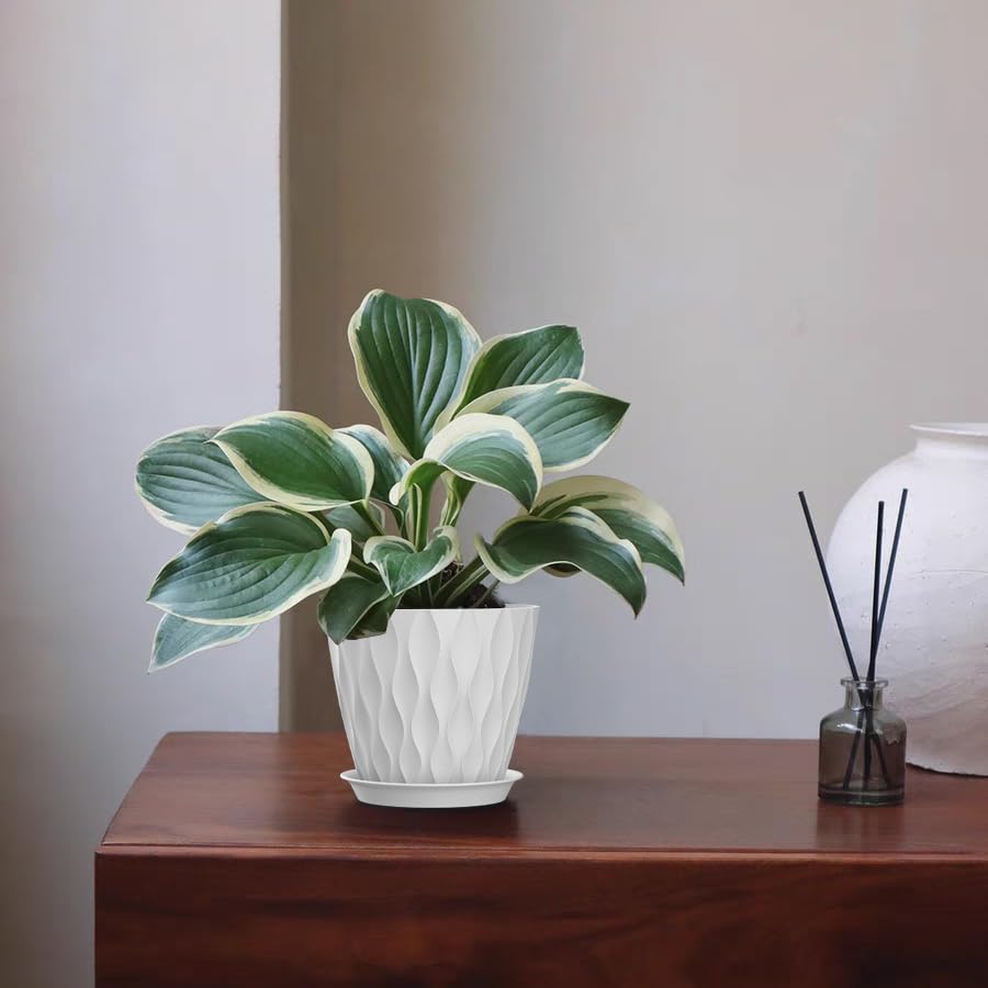 SQKH 5-inch planter tray simplifies cleaning after watering