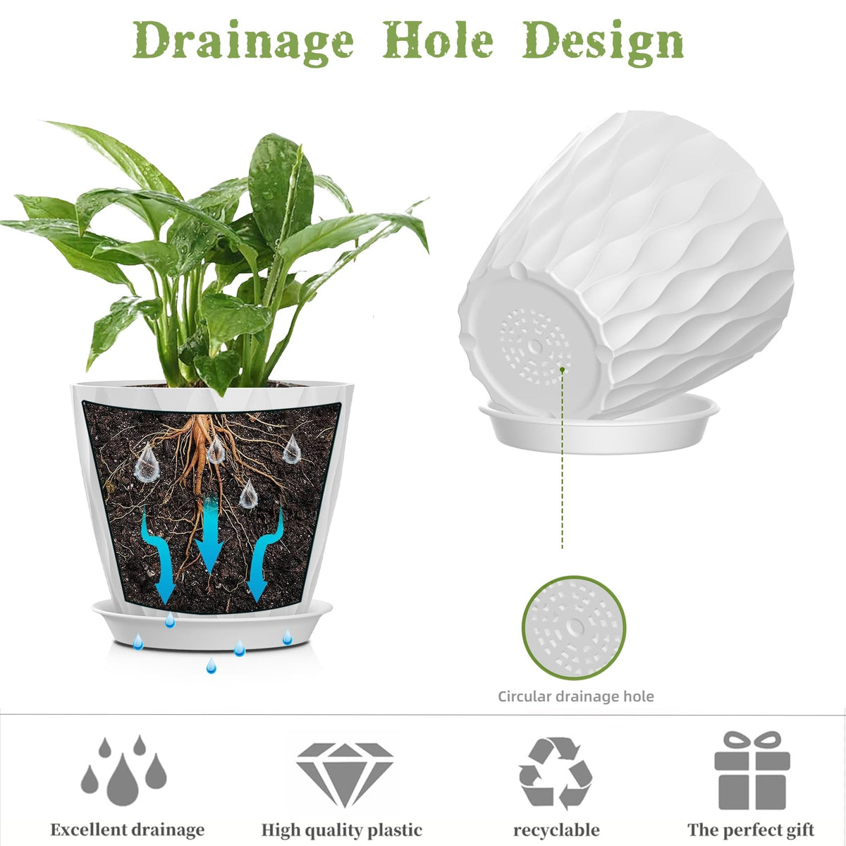 SQKH 5-inch planter suited for orchids, succulents, and herbs on desks