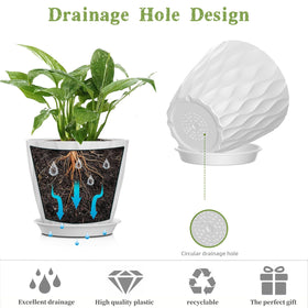 SQKH 5-inch planter suited for orchids, succulents, and herbs on desks