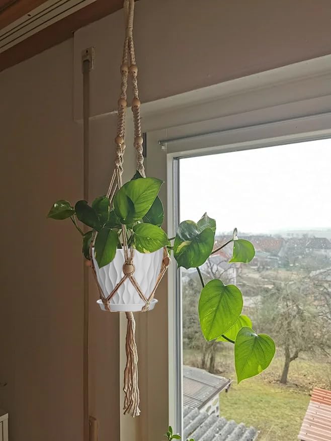 SQKH 5-inch planter for indoor use on windowsills and shelves