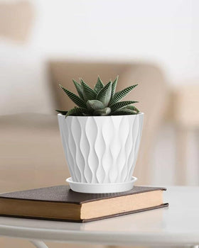 SQKH 6 inch white planter with contemporary stripes for indoor gardens.