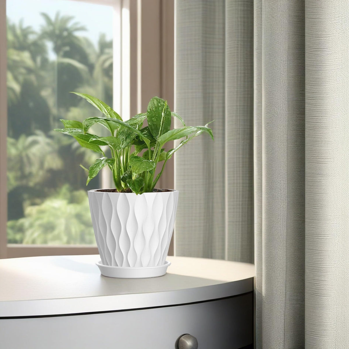 SQKH 6 inch white pot ideal for orchids and herbs on desks.