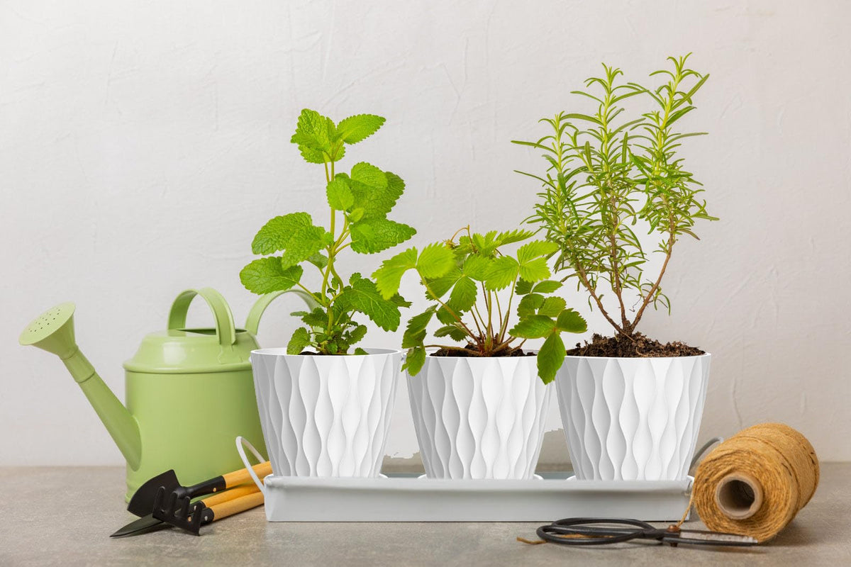 SQKH 6 inch white plant pot on windowsill showcasing decor friendly style.