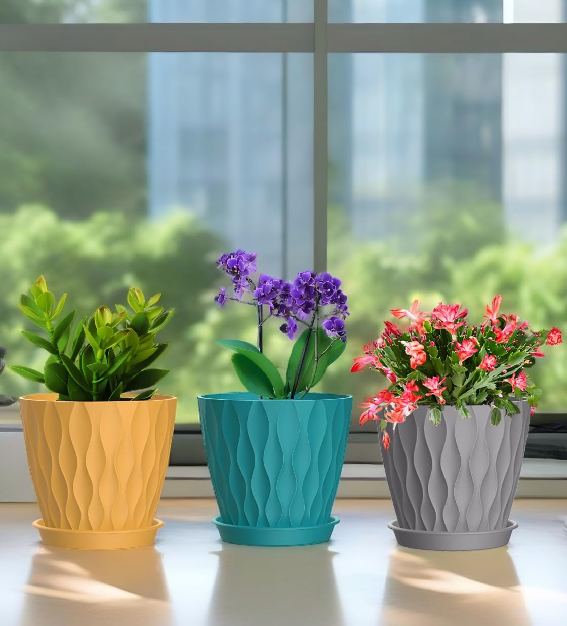 SQKH 6inch pot on a sunny windowsill with herbs and plants