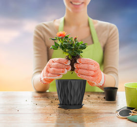 SQKH durable polypropylene planter demonstrates sturdy, sun-resistant construction for long-lasting indoor use