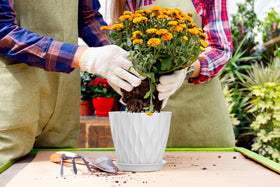 SQKH plant pots make a thoughtful gift for gardeners.