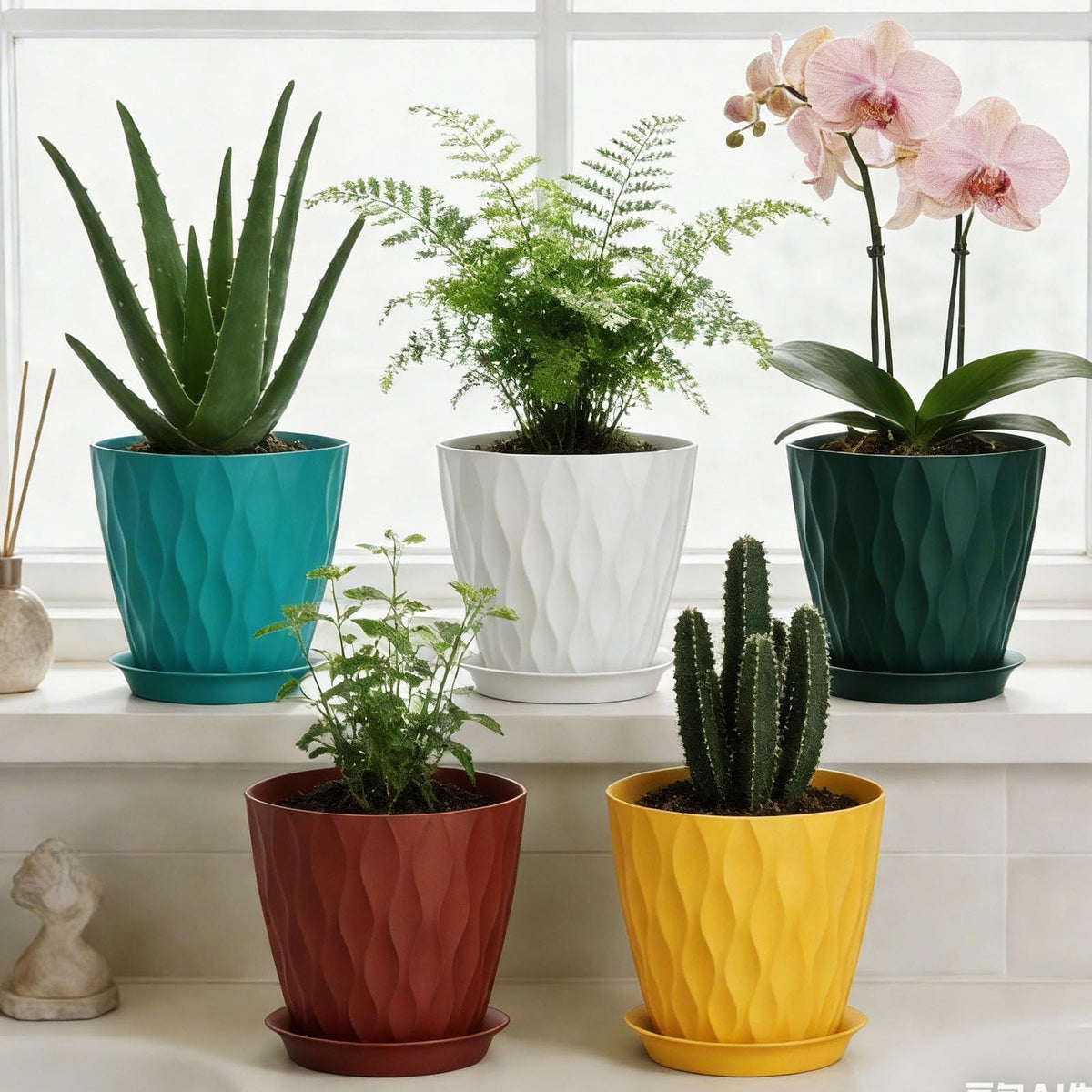 SQKH gift-ready plant pots brighten any space