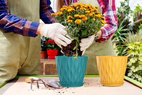 SQKH gift-ready pot set makes a thoughtful gardening present.