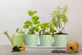 SQKH green indoor pot on a windowsill for compact herb growing